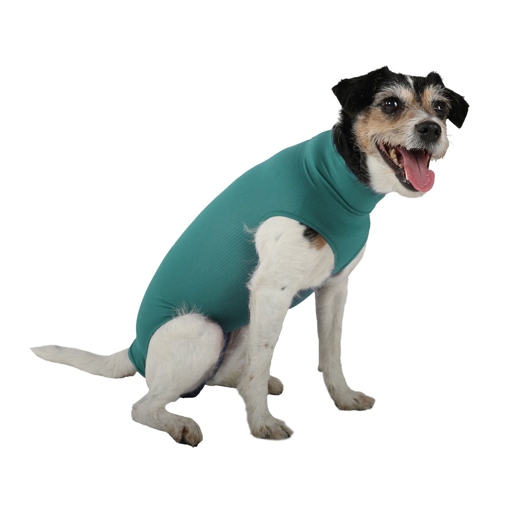 Basic bodystocking til hund, VetMedCare